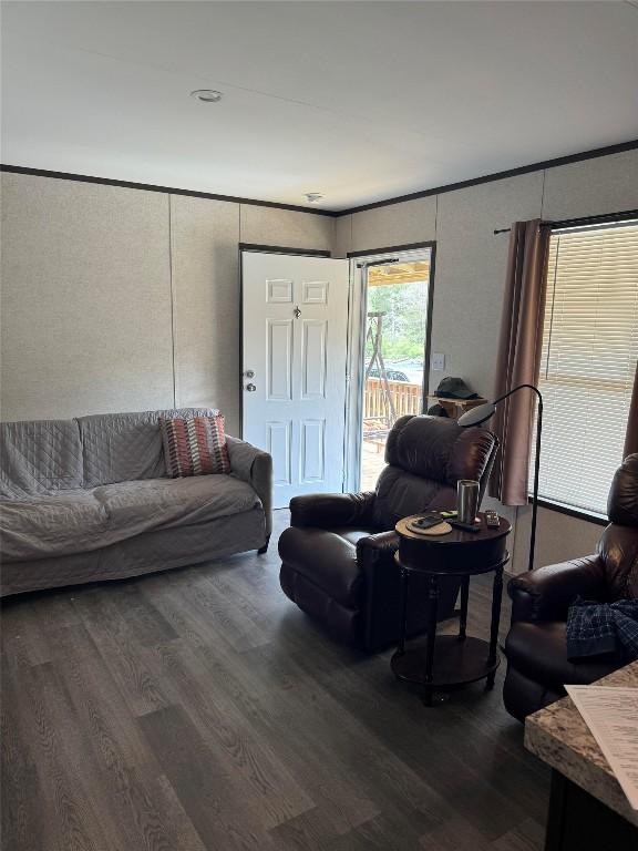 living room with dark hardwood / wood-style floors