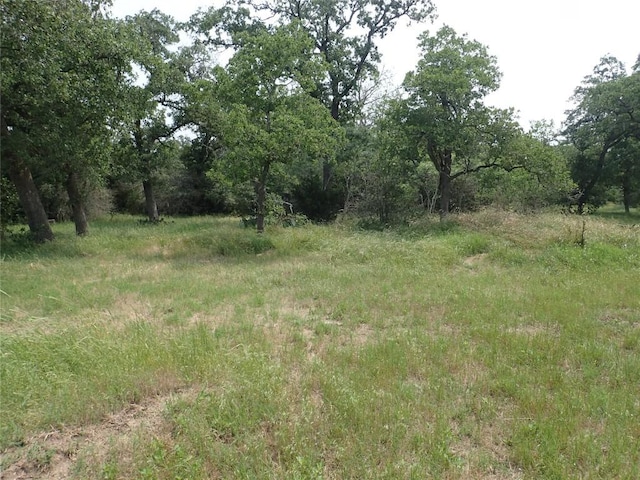 Listing photo 2 for 1140 Chalk Rd, Harwood TX 78632