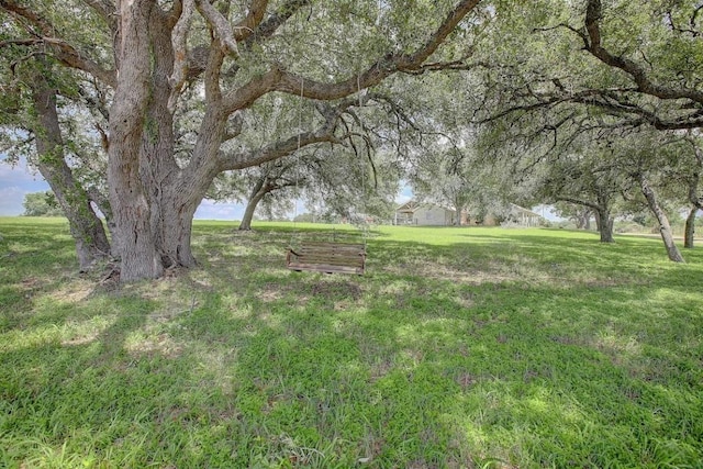4214 Old College Rd, La Grange, TX 78945 - photo 4