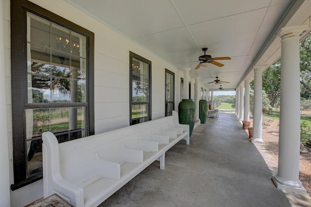 4214 Old College Rd, La Grange, TX 78945 - photo 3