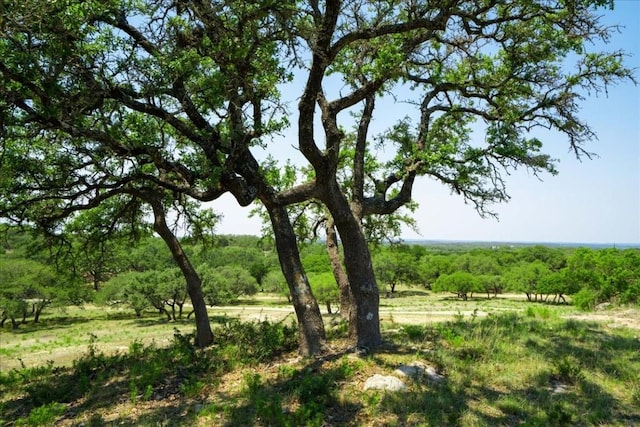 Listing photo 3 for TBA Henly Loop, Dripping Springs TX 78620