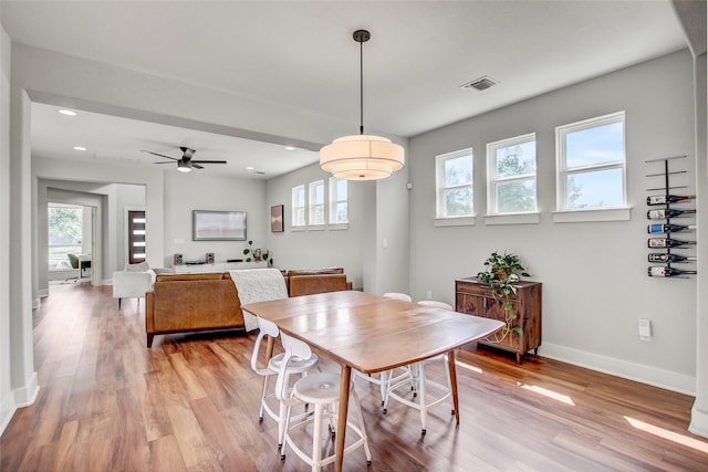 dining space with ceiling fan and light hardwood / wood-style floors