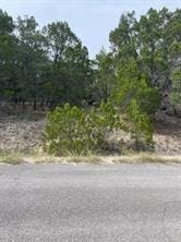 20700 Hayes Cv, Lago Vista, TX 78645 - photo 1