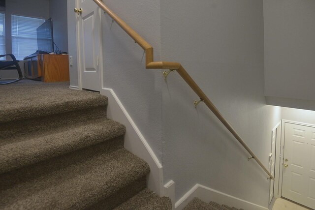 staircase with carpet floors