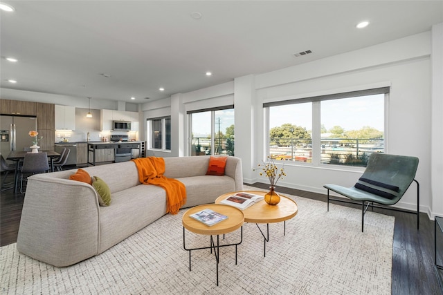 living room with hardwood / wood-style flooring and sink