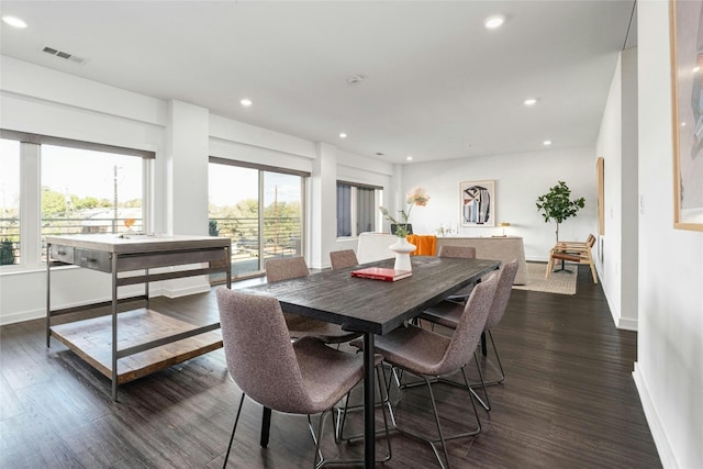 dining space featuring dark hardwood / wood-style flooring and a wealth of natural light