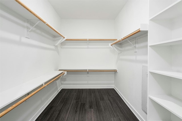 spacious closet featuring dark hardwood / wood-style floors