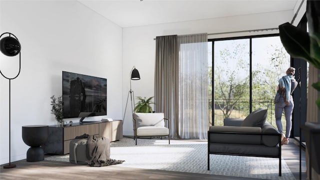 living room featuring wood-type flooring and plenty of natural light