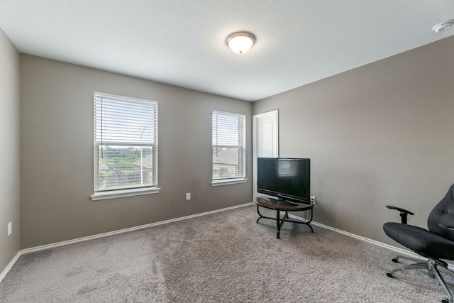 sitting room with carpet and baseboards