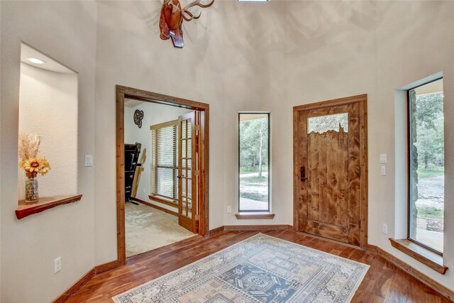 foyer featuring wood-type flooring, plenty of natural light, and a towering ceiling