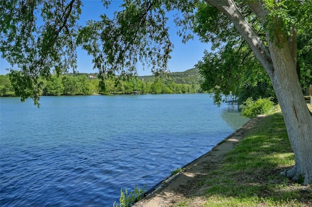 4200 Rivercrest Dr, Austin, TX 78746 - photo 7