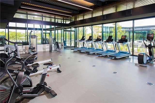 exercise room with a healthy amount of sunlight