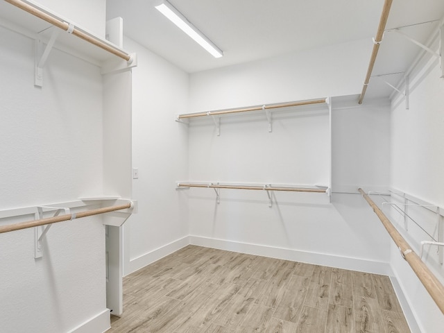 walk in closet with light wood-style floors