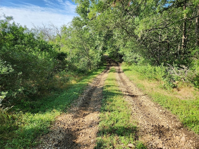 Listing photo 2 for 200 Hidden Path Rd, Lockhart TX 78644