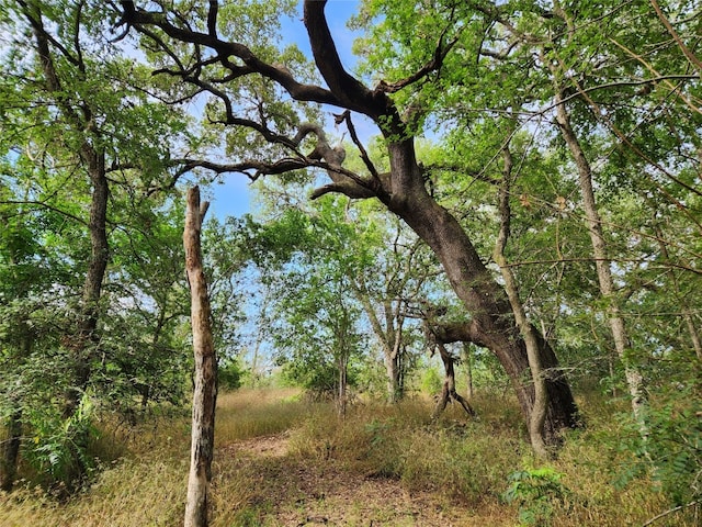 Listing photo 3 for 200 Hidden Path Rd, Lockhart TX 78644