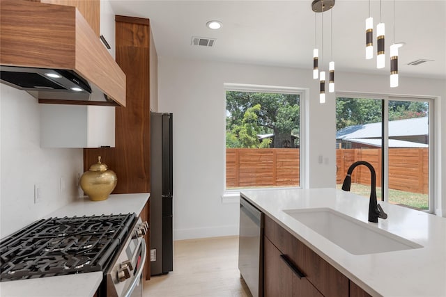 kitchen with pendant lighting, sink, premium range hood, a wealth of natural light, and stainless steel appliances