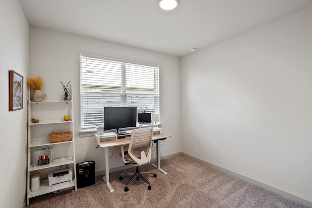 office space with carpet floors