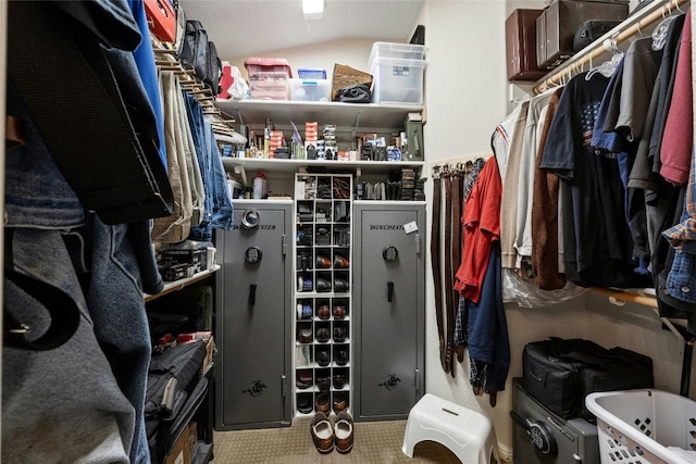 spacious closet with vaulted ceiling