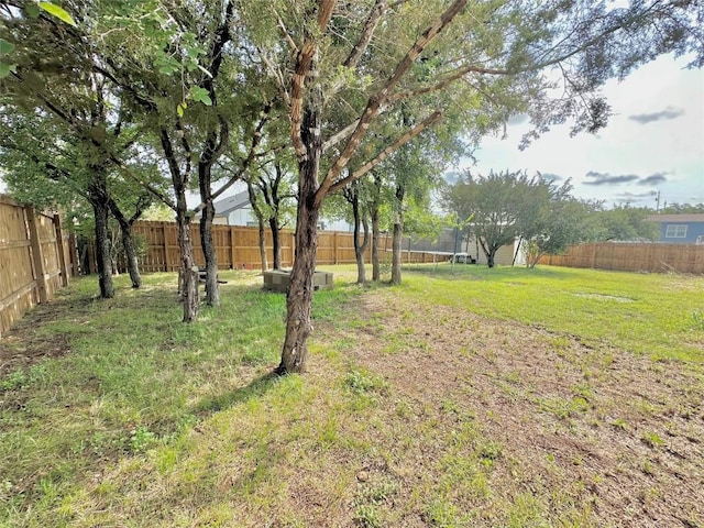 view of yard featuring a trampoline