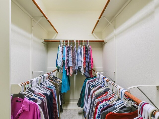 walk in closet featuring carpet