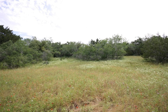 000 Crk 156, Georgetown, TX 78628 - photo 2