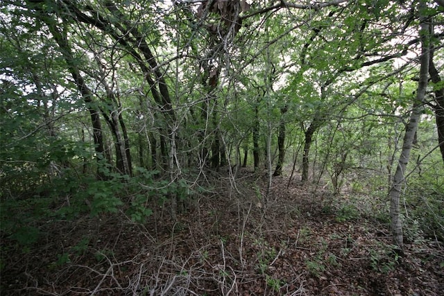 000 Crk 156, Georgetown, TX 78628 - photo 3