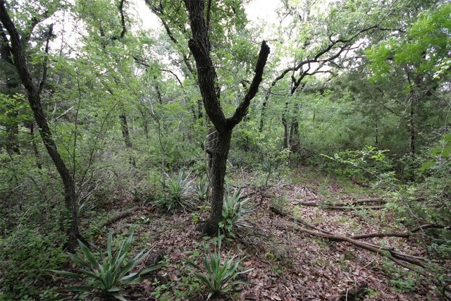 000 Crk 156, Georgetown, TX 78628 - photo 4