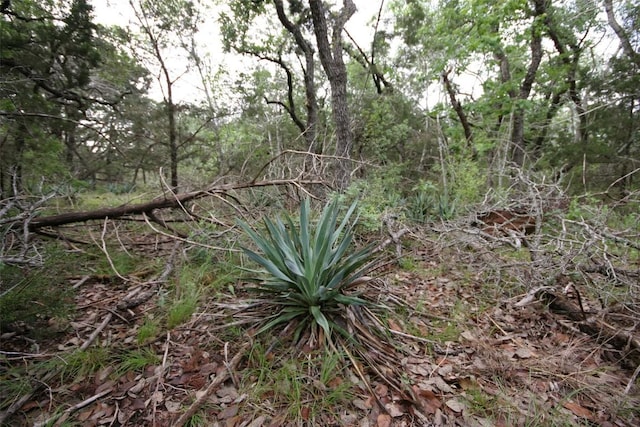 000 Crk 156, Georgetown, TX 78628 - photo 5