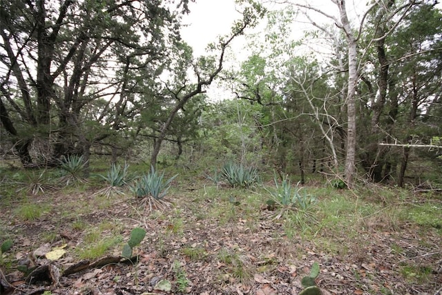 000 Crk 156, Georgetown, TX 78628 - photo 6