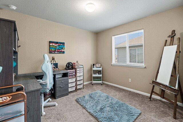 212 Timber Brook Dr, Hutto, TX 78634 - office space featuring baseboards and light carpet