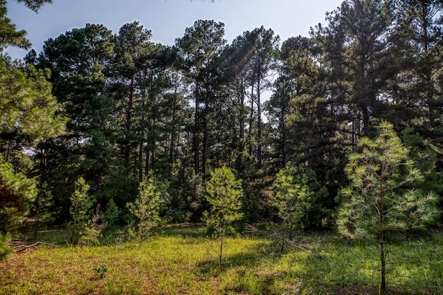 Listing photo 3 for TBD(15.682Acres) Stockade Ranch Road, Paige TX 78659