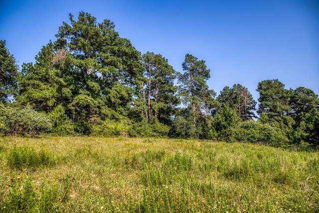 Listing photo 2 for TBD(15.682Acres) Stockade Ranch Road, Paige TX 78659