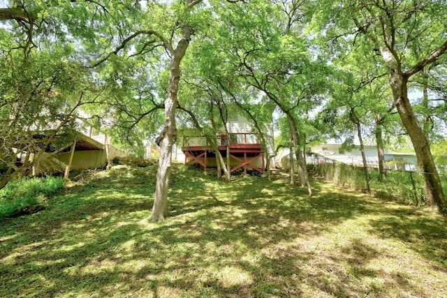 view of yard featuring a deck