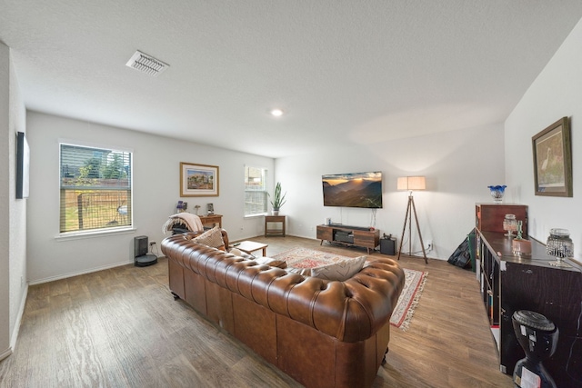 living room featuring hardwood / wood-style floors and plenty of natural light