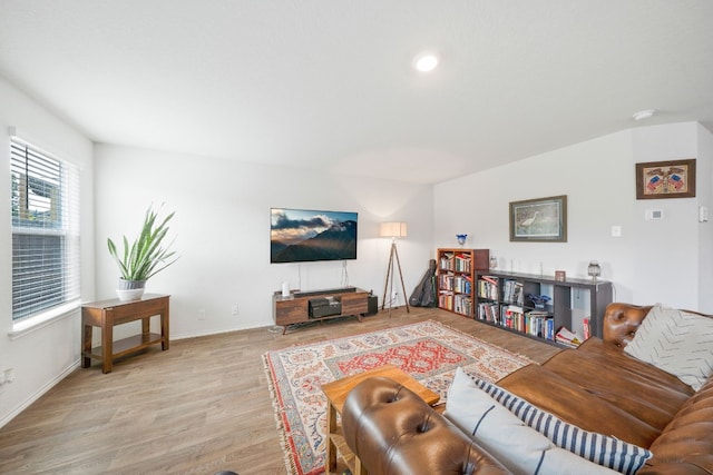 living room featuring light hardwood / wood-style floors