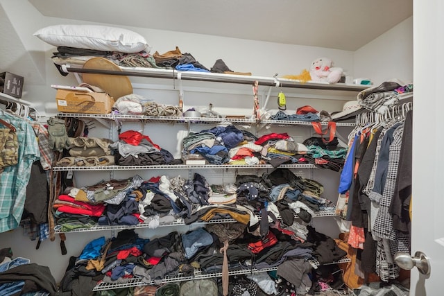 view of spacious closet