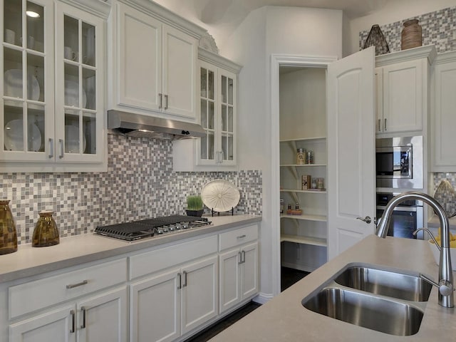 20517 Martin Ln, Pflugerville, TX 78660 - kitchen with stainless steel appliances, a sink, under cabinet range hood, and light countertops