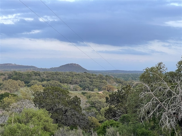 Listing photo 3 for TBD Cr 110, Burnet TX 78611