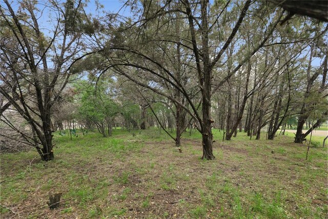 1702 Dove Rd, Lago Vista, TX 78645 - photo 4