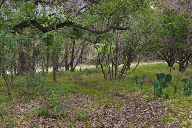 1702 Dove Rd, Lago Vista, TX 78645 - photo 2