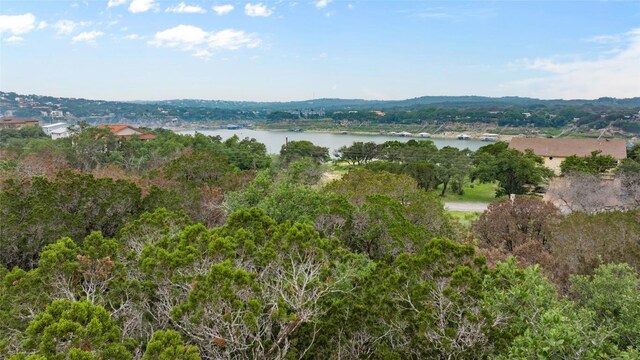 1702 Dove Rd, Lago Vista, TX 78645 - photo 5