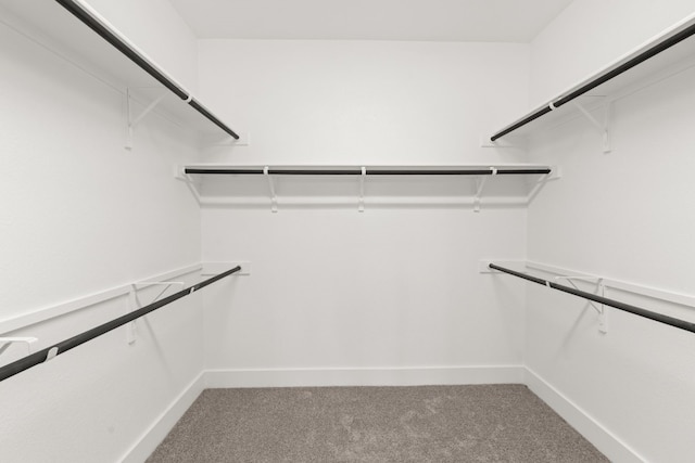 walk in closet featuring carpet floors