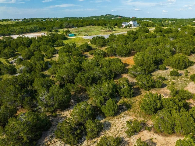 559 Vail River Rd, Dripping Springs, TX 78620 - photo 3