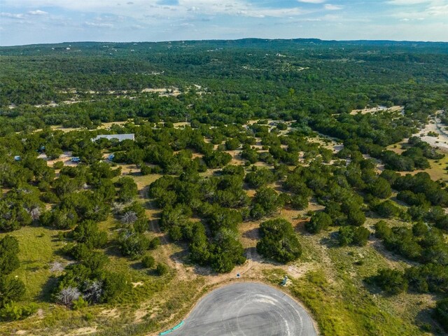 559 Vail River Rd, Dripping Springs, TX 78620 - photo 4