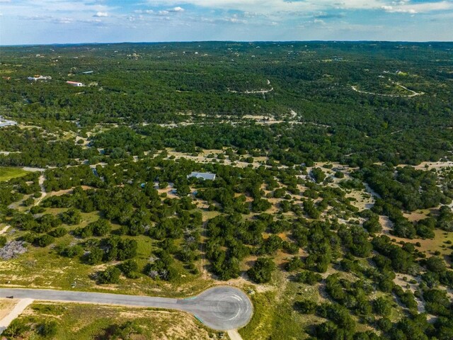 559 Vail River Rd, Dripping Springs, TX 78620 - photo 7