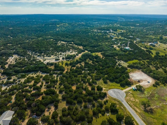 559 Vail River Rd, Dripping Springs, TX 78620 - photo 9