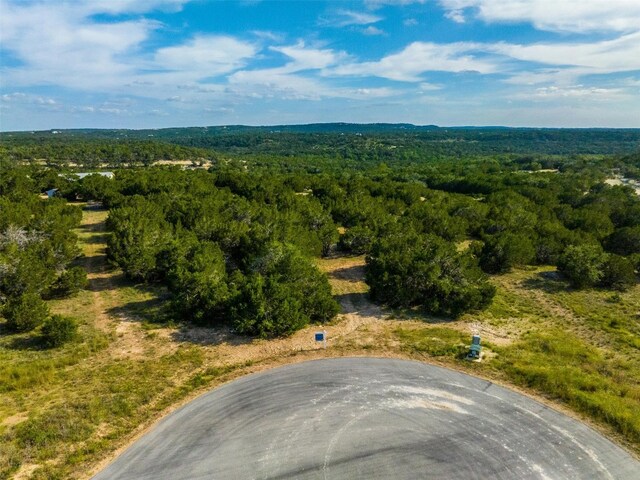 559 Vail River Rd, Dripping Springs, TX 78620 - photo 10