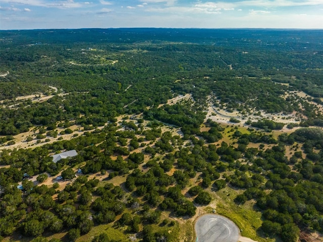559 Vail River Rd, Dripping Springs, TX 78620 - photo 12