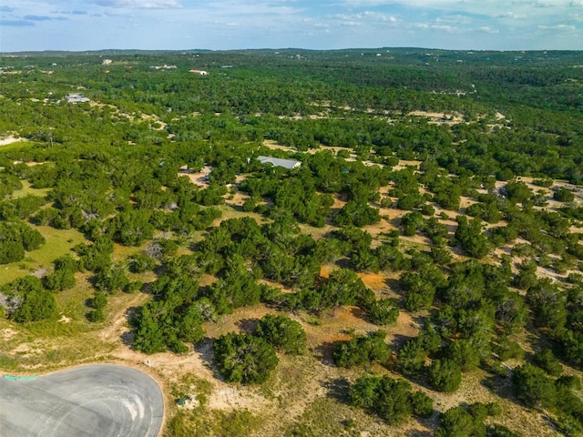 559 Vail River Rd, Dripping Springs, TX 78620 - photo 14