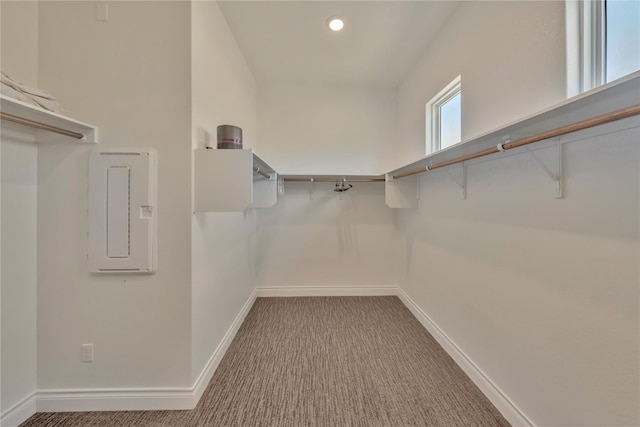 walk in closet featuring carpet floors